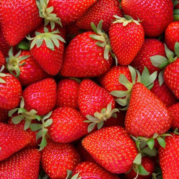 fraises
